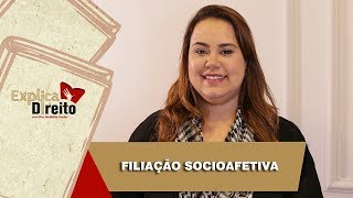 Explica Direito Filiação Socioafetiva  2019 [upl. by Nairred380]