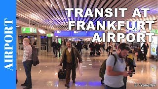 TRANSIT WALK AT FRANKFURT Airport FRA Terminal 1  Connection Flight Transfer Arriving amp Departing [upl. by Lalise]